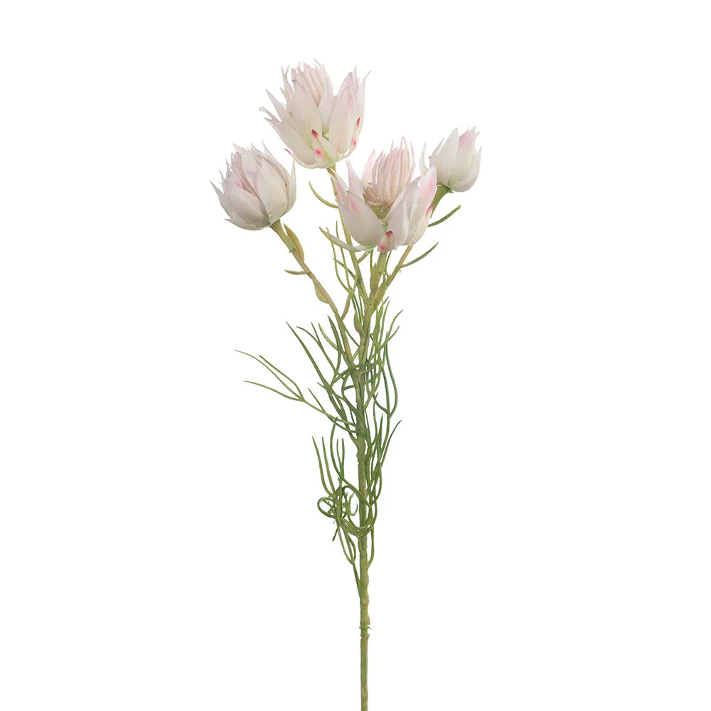 Artificial Silk Australian Native Blushing Bride Flower Spray - Cream Pink (4 heads)