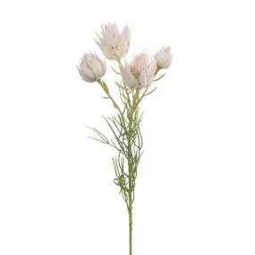 Artificial Silk Australian Native Blushing Bride Flower Spray - Cream Pink (4 heads)