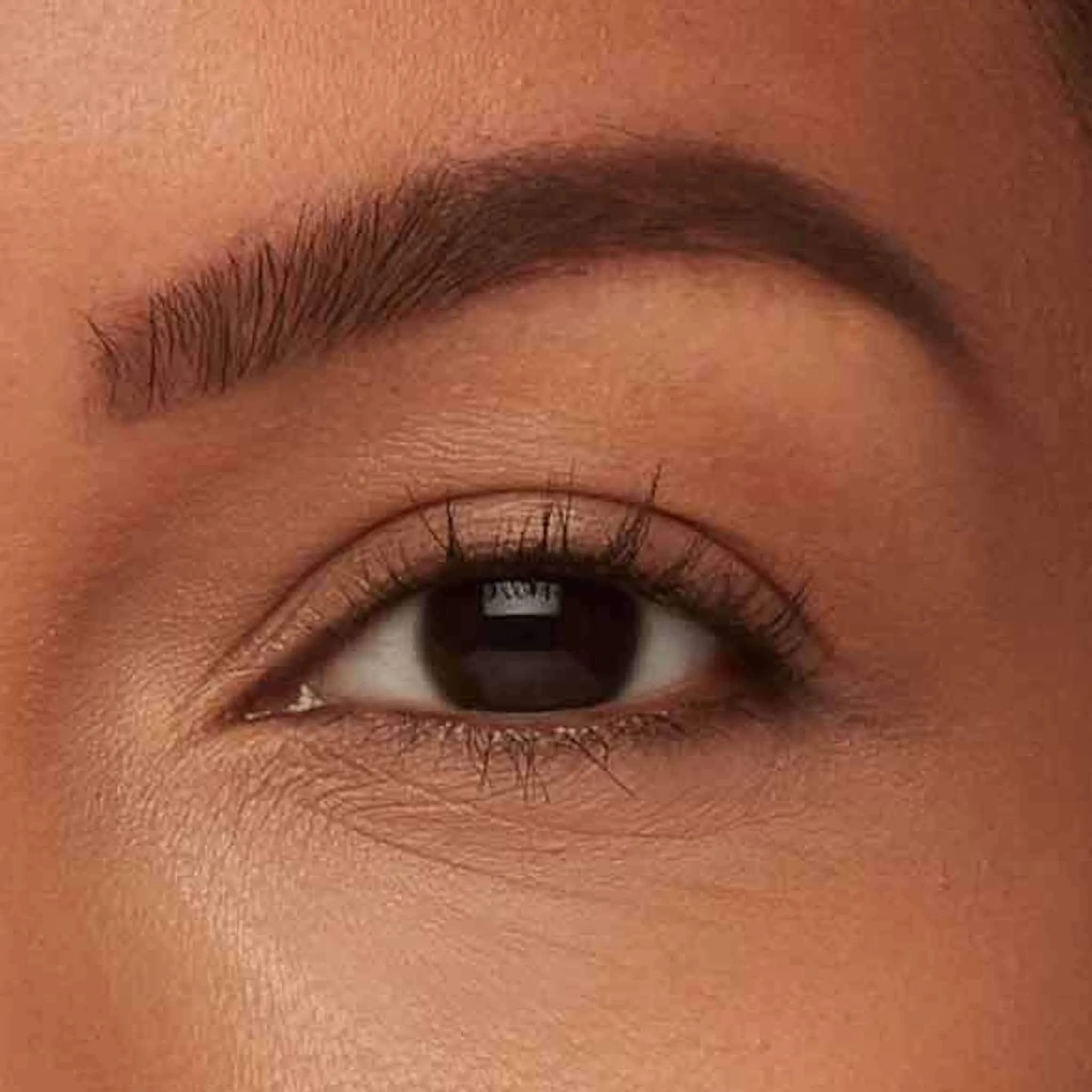 Brow Pencil   Tinted Gel