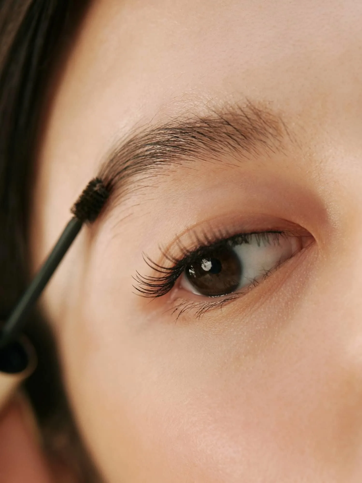 hince Signature Brow Shaper 4ml