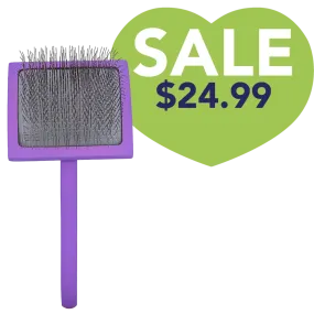Large Curved Purple Dematting Brush by PetStore.Direct