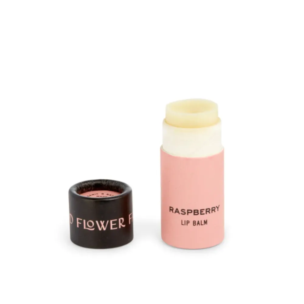 Lip Balm (5 Scents)