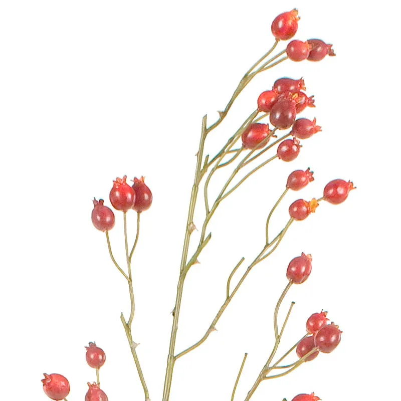Rosehip Stem, 42" - Red