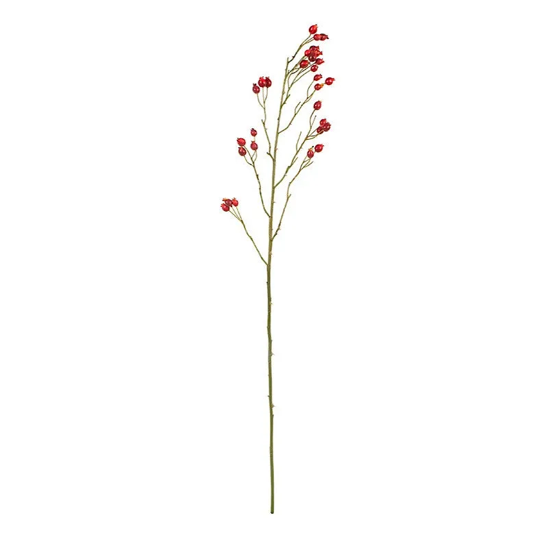 Rosehip Stem, 42" - Red