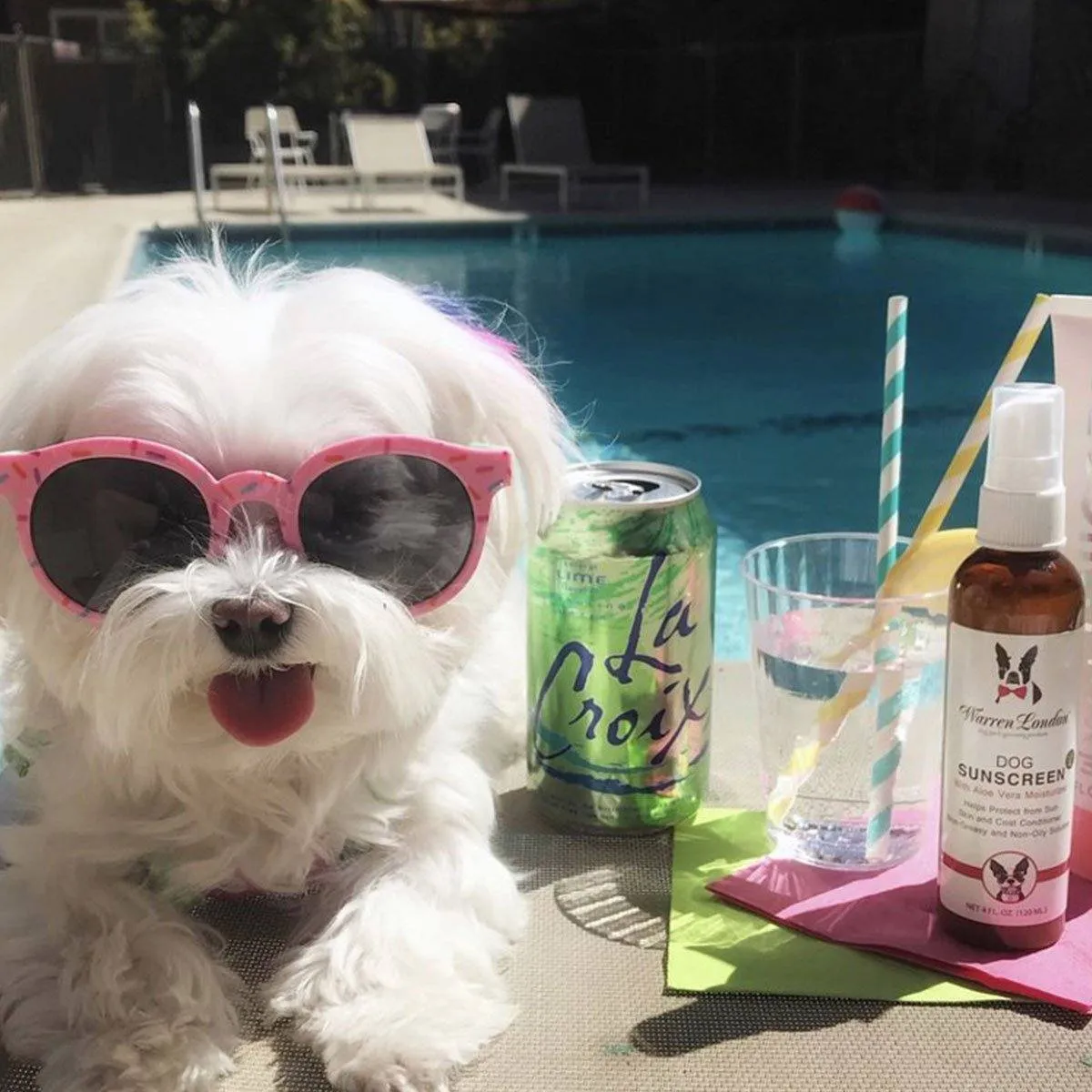 Warren London Dog Sunscreen with Aloe Vera Moisturizer